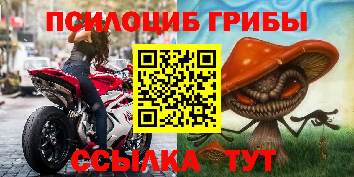 Унеча  Галлюциногенные грибы мицелий  Псилоцибиновые грибы мицелий  Вход с VPN 