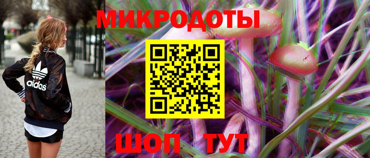 Галлюциногенные грибы Cubensis Унеча